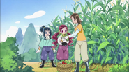 Las chicas recolectando maíz