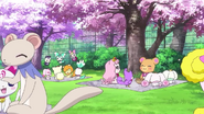 Las mascotas disfrutando del Hanami