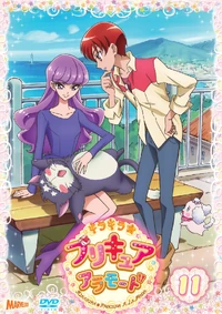 KiraKiraPreVol11
