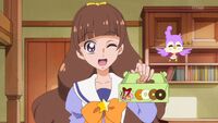 Kirara bringing some donuts