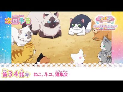 わんだふるぷりきゅあ！_第34話_予告「ねこ、ネコ、猫集会」