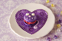 Cat Macaron 2