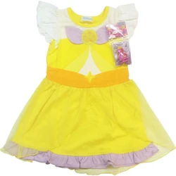 Dress Up Key (merchandise) | Pretty Cure Wiki | Fandom