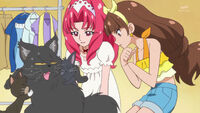 Towa and Kirara helping out a trio of black cats