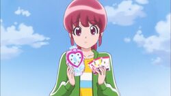 PreCards | Pretty Cure Wiki | Fandom