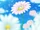 Felice・Fun Fun・Flowerle! (MIRAI DAYS) Cure Felice sits on a flower.jpg