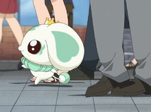 HSPC37, Pretty Cure Wiki
