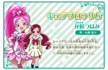 Cure Blossom's profile from Haru no Carnival♪