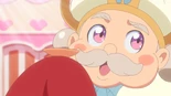 CooKing thinks the heart crystal has something to do with the Pretty Cure