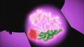 HPC01 Erika's Heart Flower is revealed