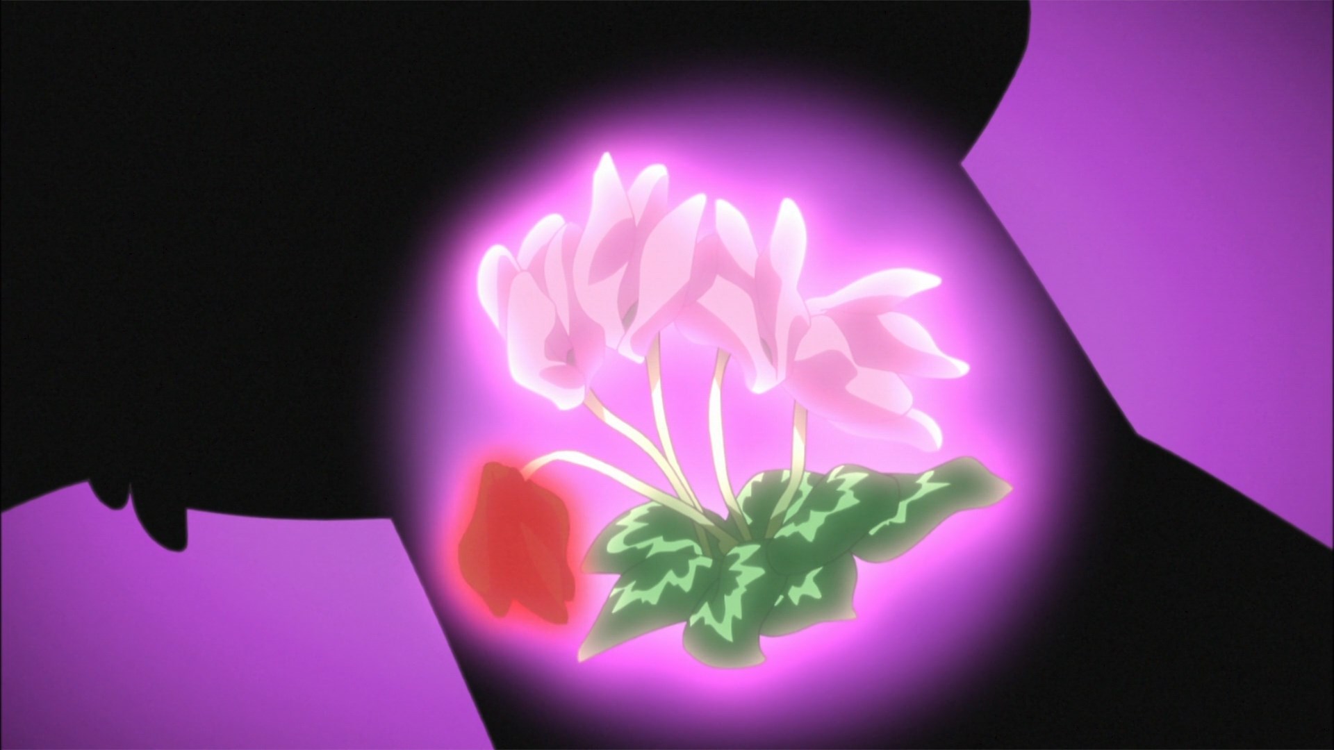 Heart Flowers | Pretty Cure Wiki | Fandom