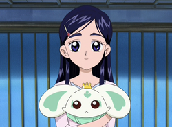 FwPC34, Pretty Cure Wiki