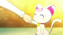 Kanade shakes Hummy's paw