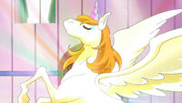 Pop transformed in Pegasus