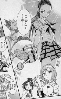 Kamikita Katou Interview - FwPCSS Sunflowers