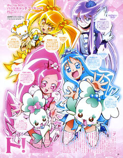 Heart Catch PreCure! Oshare Collection for Nintendo DS - Sales, Wiki,  Release Dates, Review, Cheats, Walkthrough