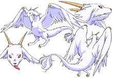 Flare dragon profile