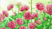 Flores que estan al cuidado de Tsubomi