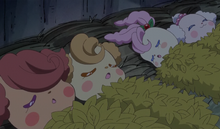 Fairies sleeping