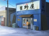 FwPCSS10 - Hoshinoya