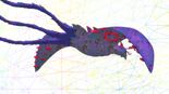 A bird Shadow
