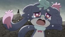 Puca cried as she ran away from Supreme