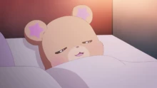 Mofurun is asleep