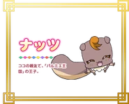 Perfil de Natts en Pretty Cure All Stars New Stage