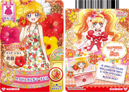 Hibiscus (02/48) Symbolizes bravery.