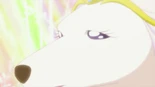 HGPC01 Teatinu tells the Healing Animals that everything will be okay.jpg (50 KB) Teatinu tells the Healing Animals that everything will be okay