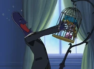 The parrot bites the taller Zakenna butler.