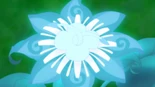 KnCOPC03 The blue Time Flower blooms.jpg (627 KB) The blue Time Flower blooms