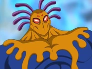 Dorodoron (Dorodoron)