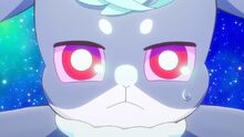 Puca believes in herself