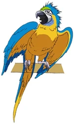 FwPC Parrot fullbody