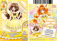 Yellow (Card # 09/48)