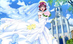 Official Art of an older Mana in her wedding gown.