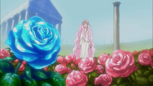 Syrup's memory of a red rose and a blue rose in the Cure Rose Garden