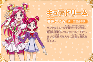 Cartel de Cure Dream en Pretty Cure All Stars: Cantando con todos ♪ ¡El milagro de la magia!