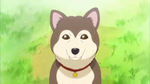 Yuko's dog