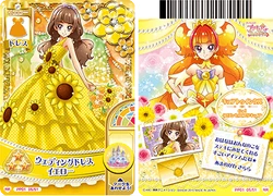 DCD Princess Party 1 Spring Party | Pretty Cure Wiki | Fandom