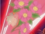 Aya's Heart Flower
