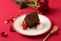 Dog Chocolate 3