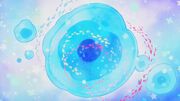 Pururu Planet