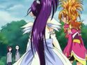 Michiru and Kaoru against Bloom and Egret