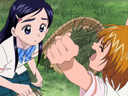 Nagisa y Honoka quitando hierbajos