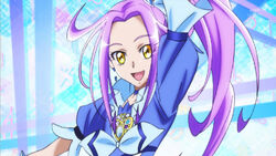 10th Anniversary Congratulatory Message Pretty Cure Wiki Fandom