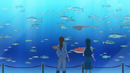 GPPC36 - Minami y Asuka en el acuario