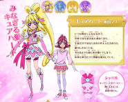 Perfil de Cure Heart (Toei Animation)