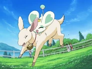 Bell trying to buck Pollun off of it.